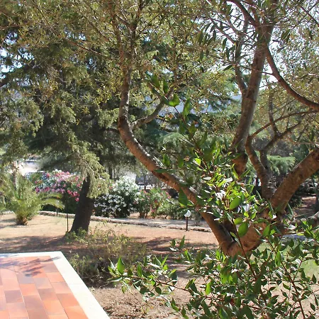 A Domo B&B 올비아