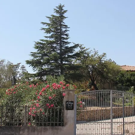 B&B A Domo 올비아