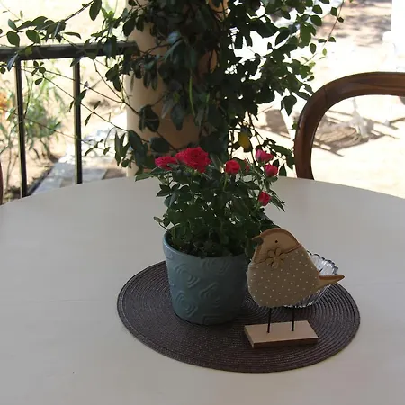 A Domo Olbia