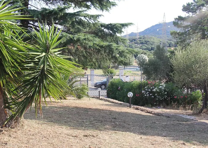 A Domo * أولبيا